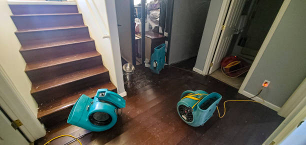 Best Flood restoration services  in Piney, AR