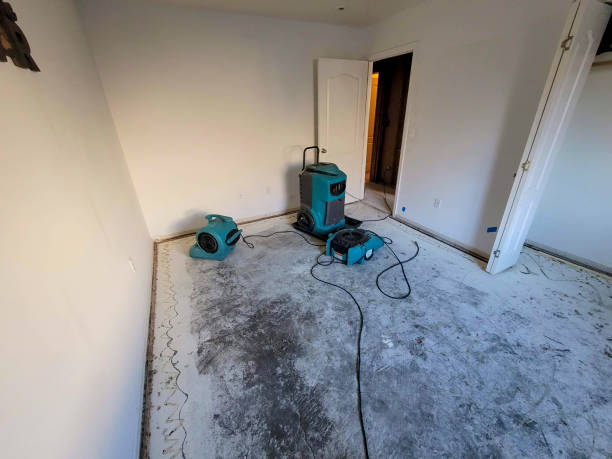 Best Water damage contractors near me  in Piney, AR