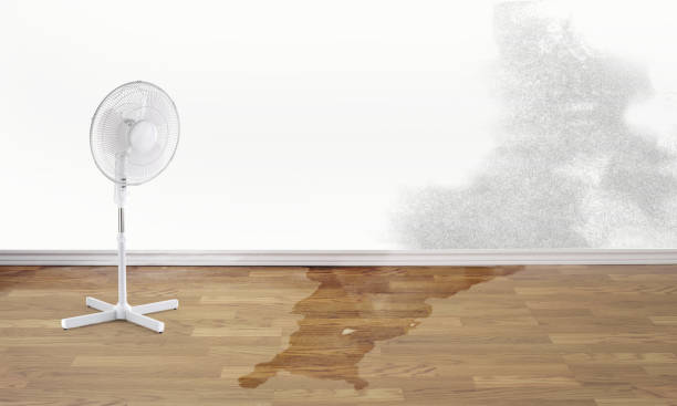  Piney, AR Water damage restoration Pros