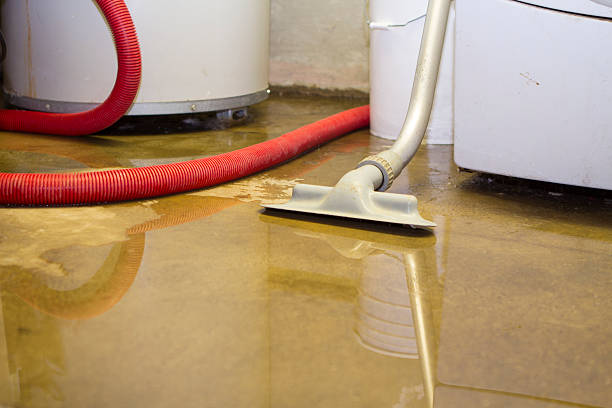 Best Basement water damage restoration  in Piney, AR