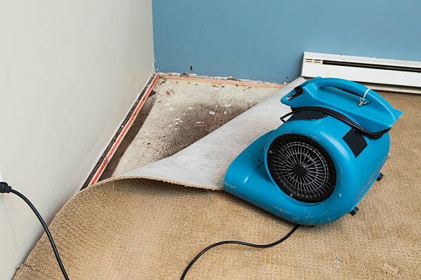 Best Water damage restoration near me  in Piney, AR